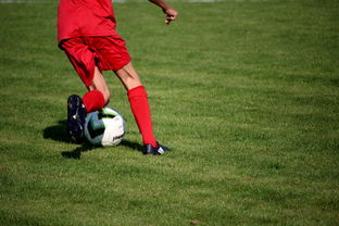 mk体育官网-意甲裁判语义辅助判罚系统提升比赛公平性研究，意甲裁判组